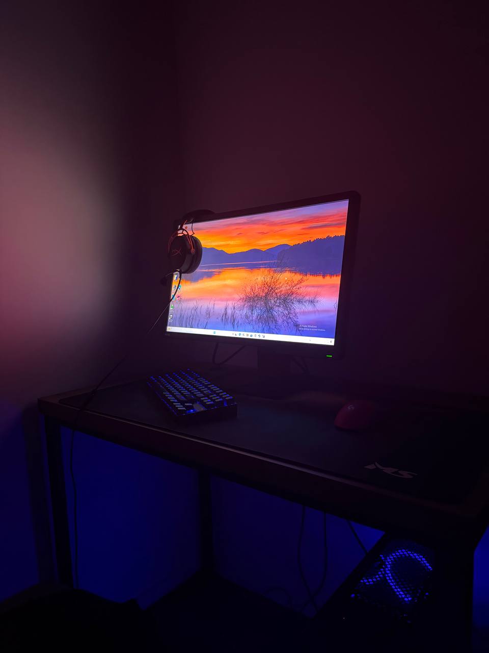 Shes pc gaming